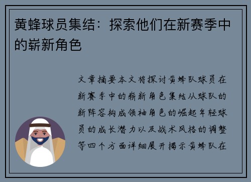黄蜂球员集结：探索他们在新赛季中的崭新角色